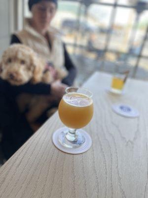 DIPA hazy. Superb! And pet friendly too