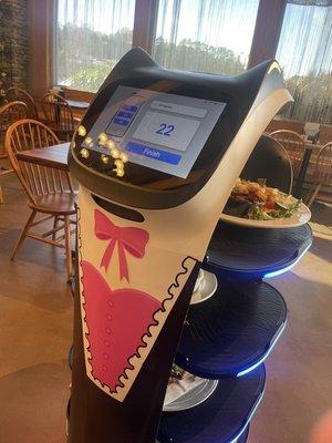 Food delivery per robot