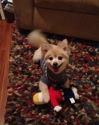 This is Jax - he is so happy lately after walking with Jesse!