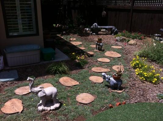 Assorted native plants with wood cut stepping stones stained.