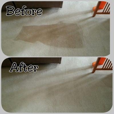 A Clean Choice Carpet Cleaning, Inc