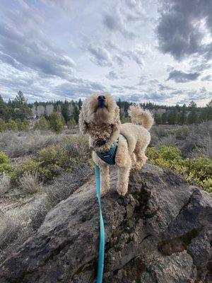 Adventure training hike