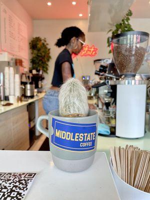 Middle State Coffee