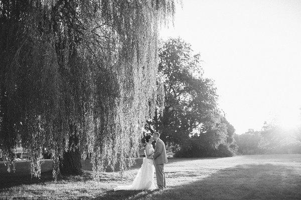 Beautiful willow tree!