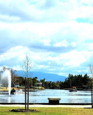 Harveston Lake Park