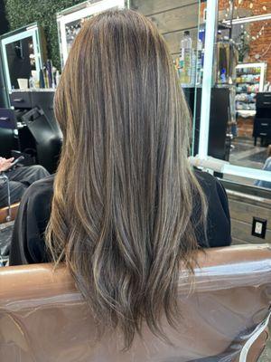 Partial Highlights and Cut by Gabrealla