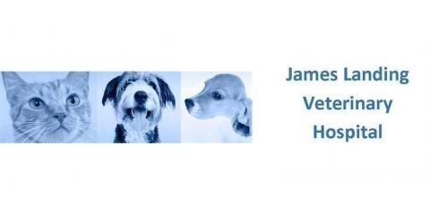 James Landing Veterinary Hospital