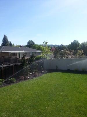 Backyard plantings, hydroseeding and sprinkler system.