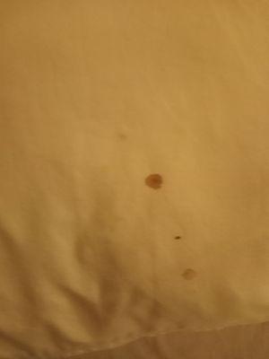 Blood stains on sheets and pillows