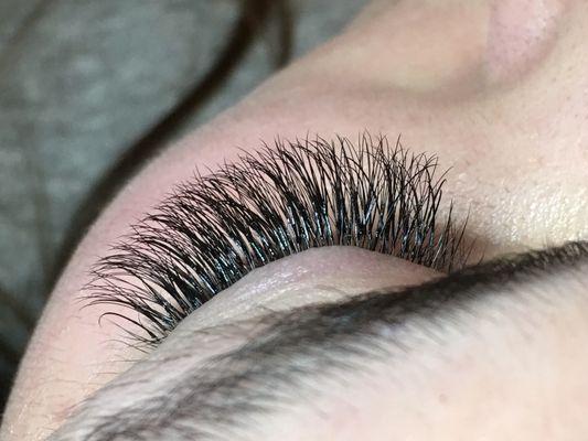 Hybrid Lash