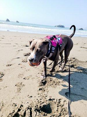 Having fun on the beach