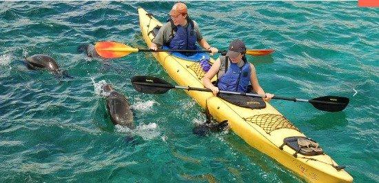 kayaking in the Galapagos