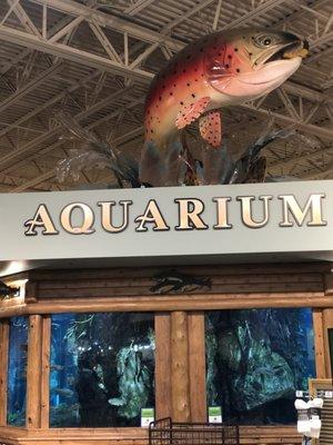 Nice aquarium with local fish