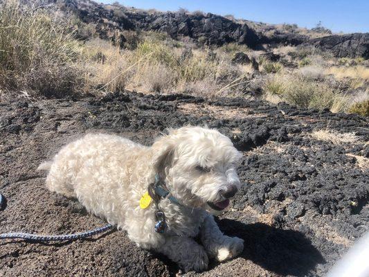 Charles says, "Lava is still Hot!"