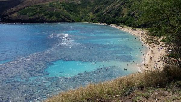 Snorkeling