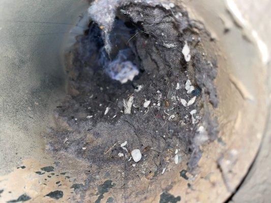 Debris build up effect dryer efficiency & can increase the risk of fire! Steam Smart Pro dryer vent cleaning in Tucson & Surrounding Areas