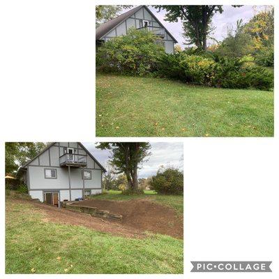 Over grown bushes removed and rototilled to plant grass