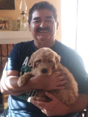 Charley and his goldendoodle puppy Denver