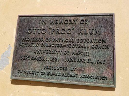 How did Klum Gym get its name?