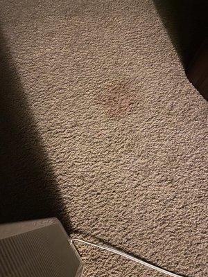 More stains in carpet