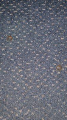 Cigarette burns in carpet