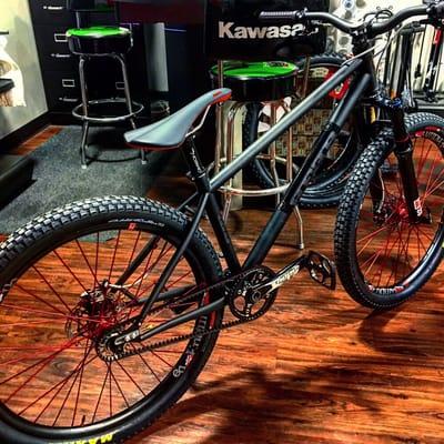 Custom built REEB Destroyer dirt jump/park bike!