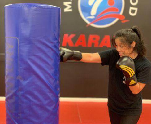 Adults martial arts and self defense classes