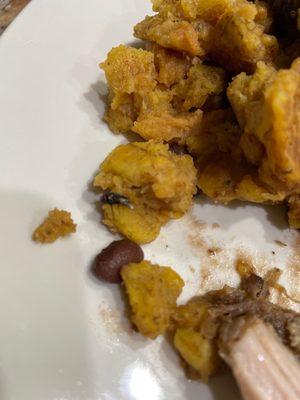 Dead fly cooked into my mofongo