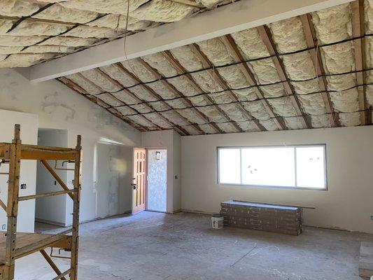 Remodel/vaulted ceiling