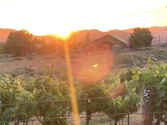 Breathtaking sunset from the vineyard.