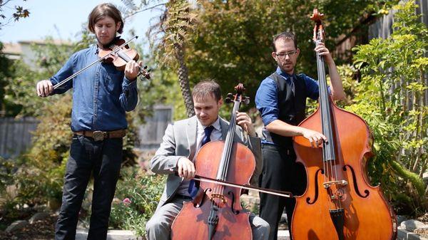 Classical ceremony musicians. (c) Douglas Rae Photography