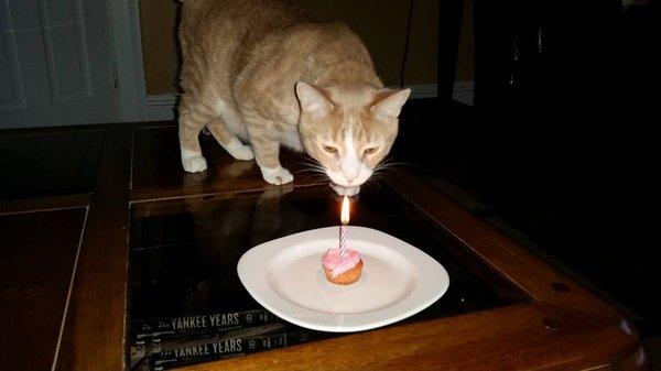 happy birthday  Timmy sent by owner...