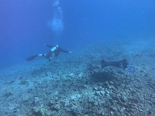 Brad signaling his favorite thing the Mantas are coming!