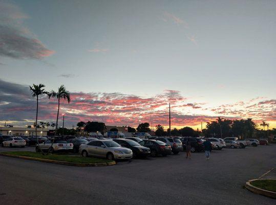 Pretty skies over the cat park