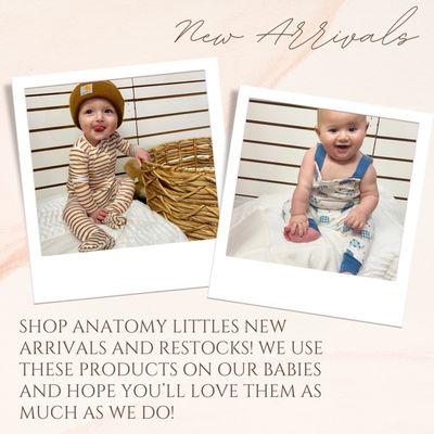 Anatomy Littles New Launch