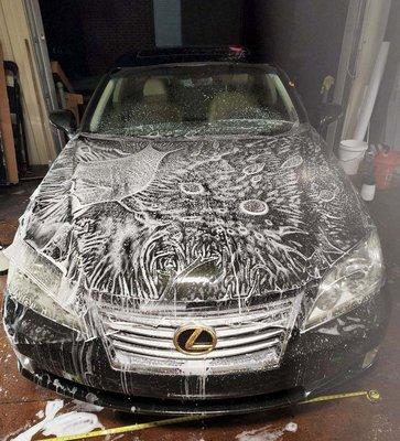 Lexus Full Front PPF