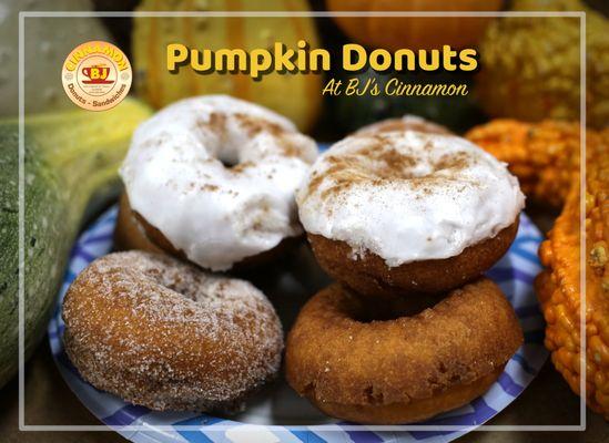 Pumpkin Donuts are here! Yummy!