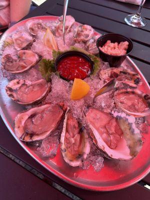 Oysters on the half shell