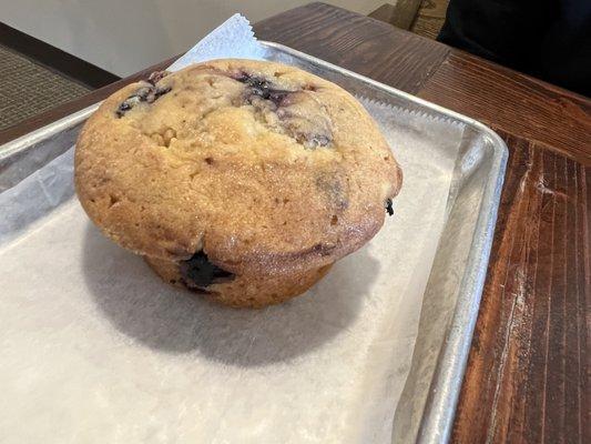 Blueberry Muffin