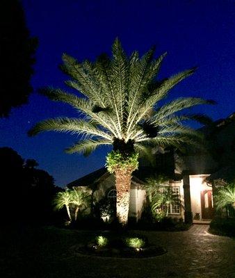 Lightscapes Outdoor Lighting Palms