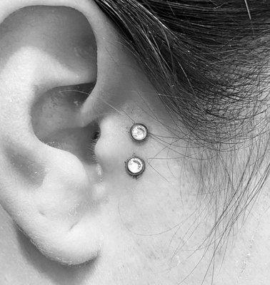 Surface Tragus. (Dermals)