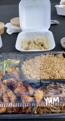 Chicken entree with fried rice and Chicken Gyoza