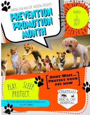 It's that time of year again! Let us help you protect your pet. March-April 2021