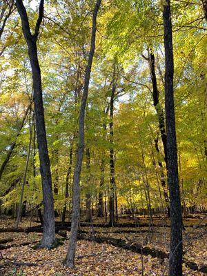 Sleepy Hollow State Park