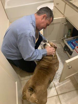 Billy at Sirius paying attention to both the plumbing and my clingy bulldog!