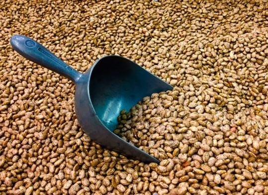 We Carry Bulk Beans