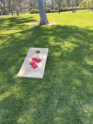 Cornhole! Universally known as one of the most fun games to play at any beck yard party!