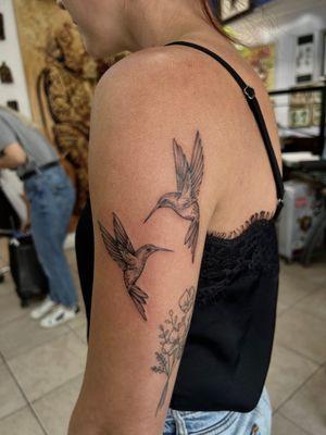 Double shaded hummingbirds  Artists: jordan