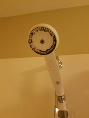 This was my shower head. Enough said.