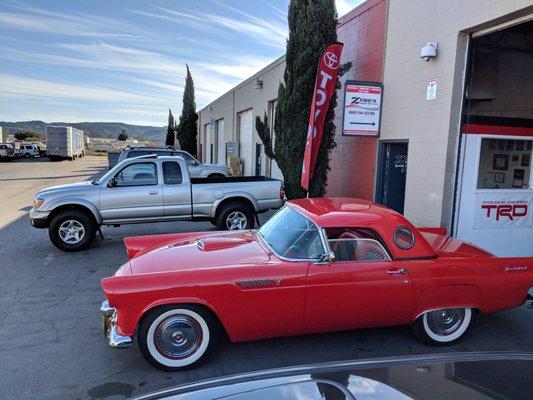 55 T-Bird sold and shipped to AR